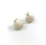 Mini White Clamshell Earrings